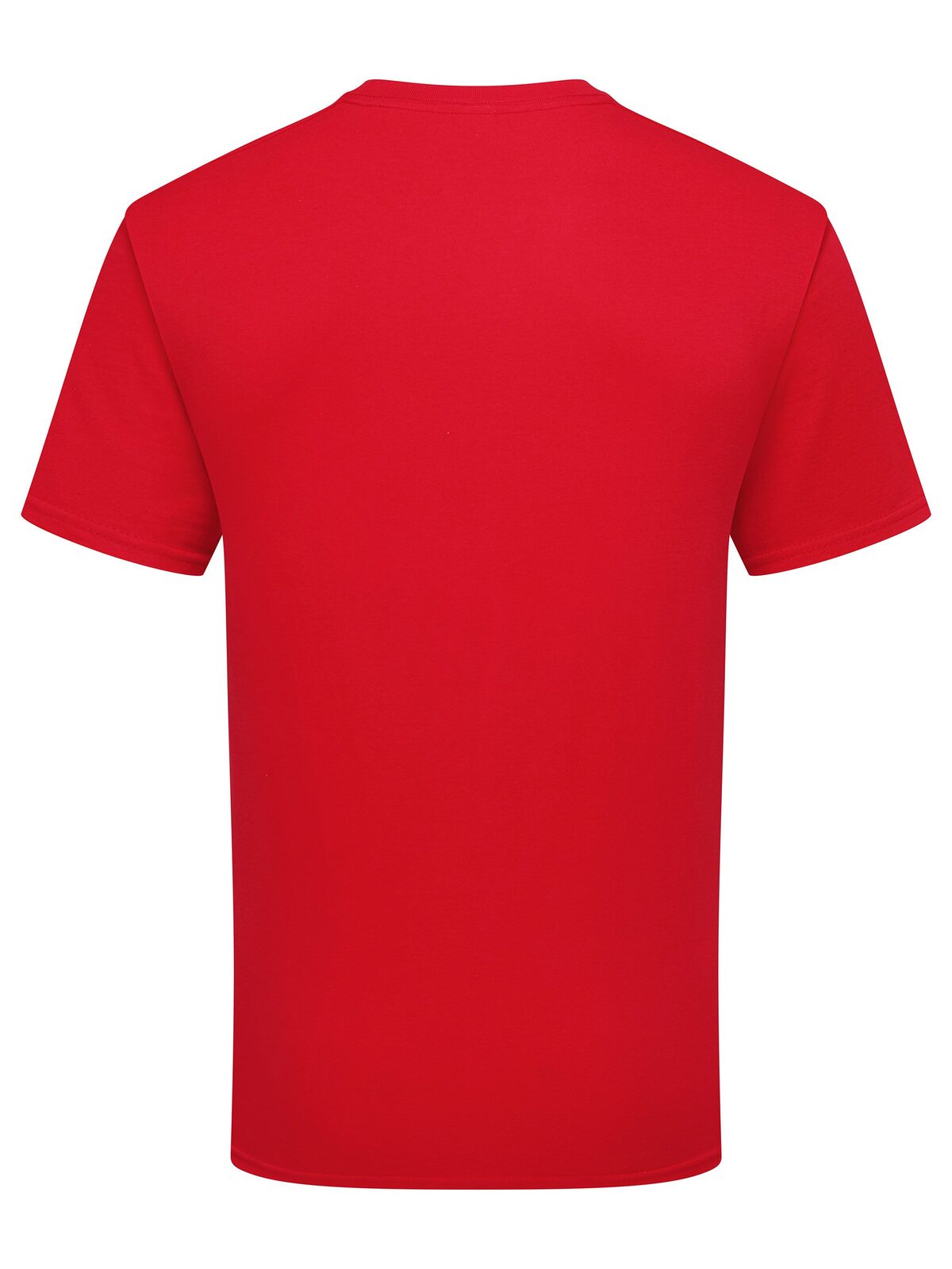 FR613620 NUOVO Pure cotton T