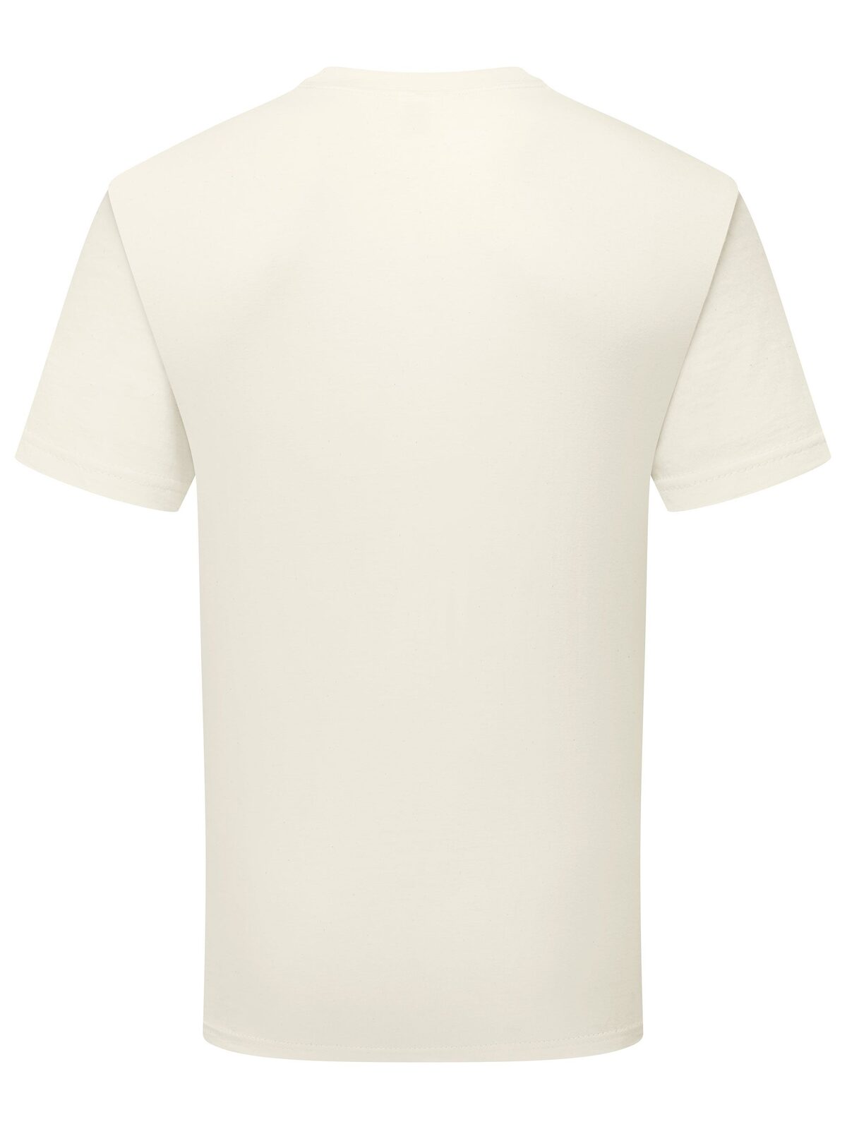 FR613620 NUOVO Pure cotton T