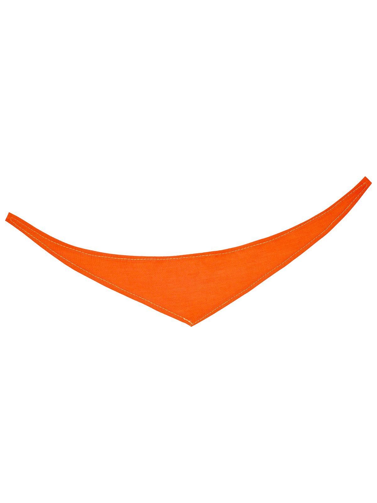Bandana/ triangle scarf