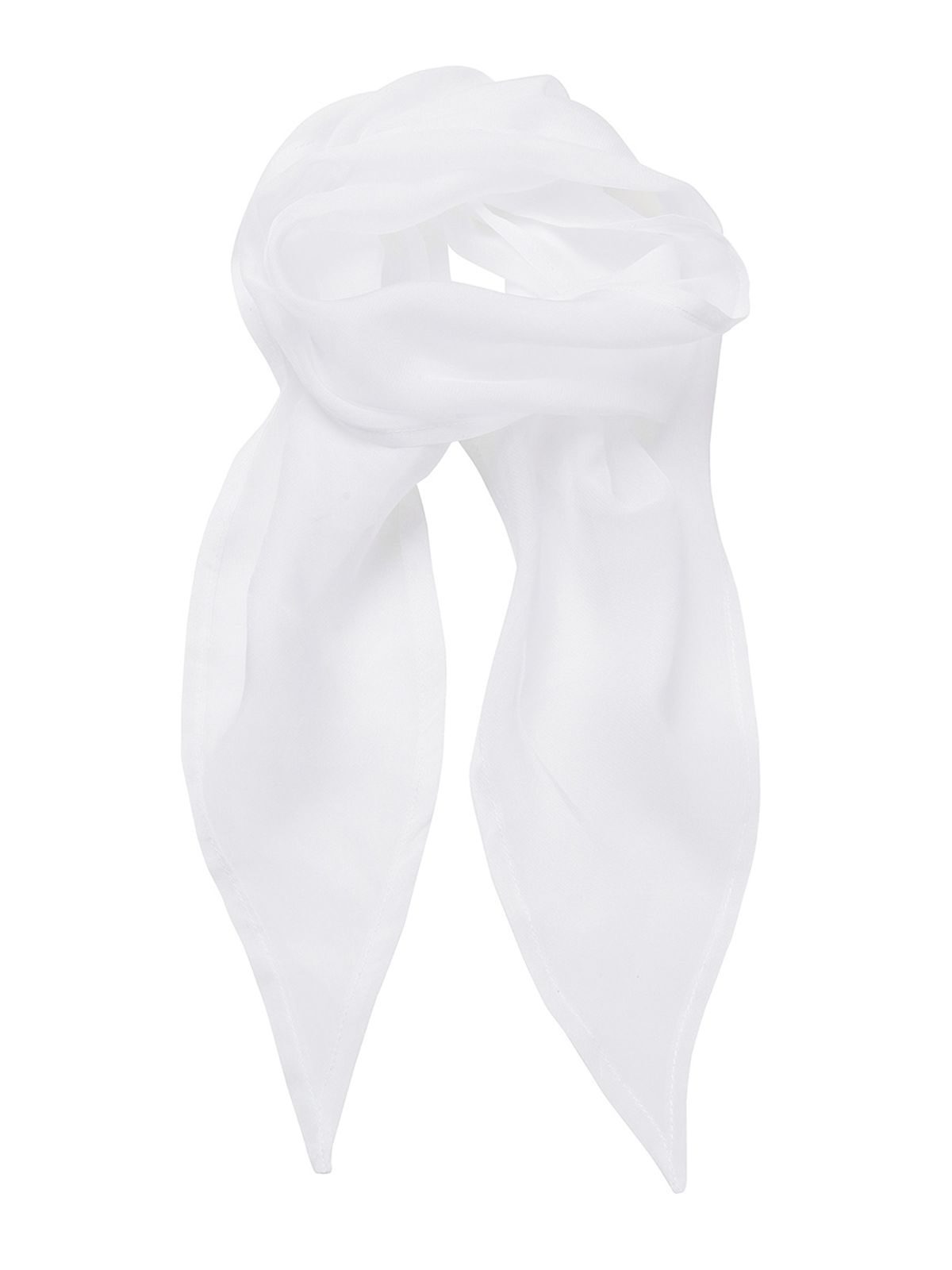 Ladies Chiffon Scarf